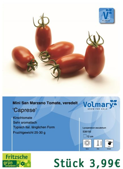 csm_Angebot_Tomate-Caprese_ff69910fc6.jpg