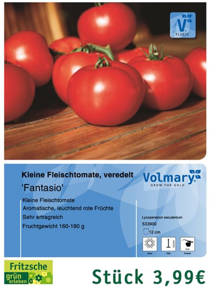 csm_Angebot_Tomate-Fantasio_88b73fe10d.jpg