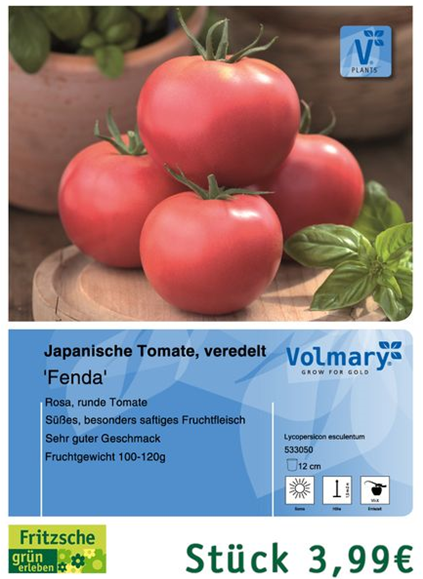 csm_Angebot_Tomate-Fenda_58d20a2e3b.jpg