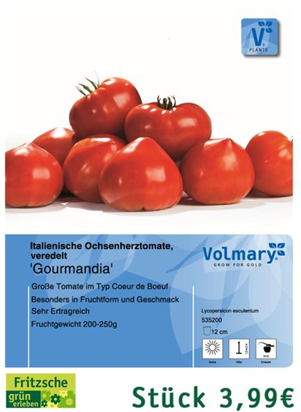 csm_Angebot_Tomate-Gourmandia_89f9b6f7cb.jpg