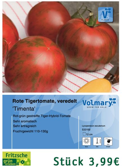 csm_Angebot_Tomate-Timenta_961e4cafe9.jpg