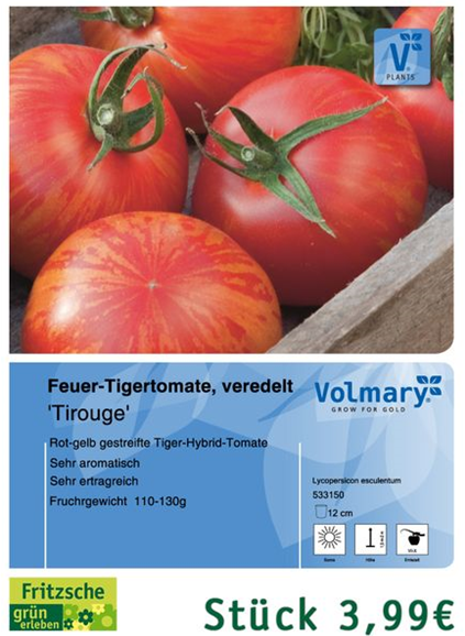 csm_Angebot_Tomate-Tirouge_1108c2517a.jpg