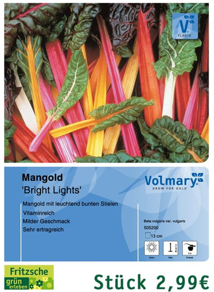 csm_Angebot_Mangold-rot_e3cc3a4797.jpg