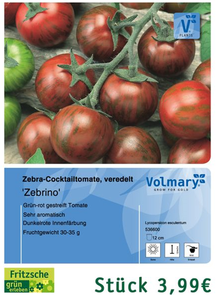 csm_Angebot_Tomate-Zebrino_3100a62ea5.jpg