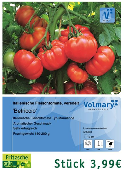 csm_Angebot_Tomate-Belriccio_7248416b48.jpg