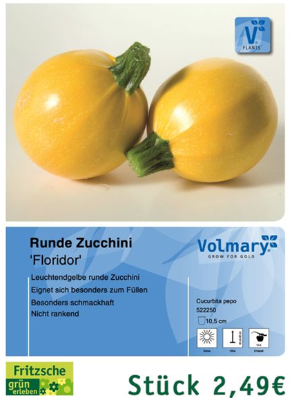 csm_Angebot_Zucchini-Floridor_b03c2d2639.jpg