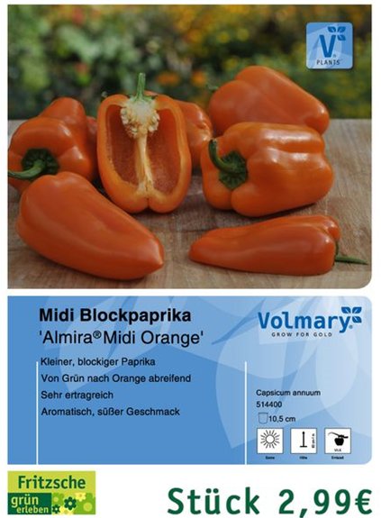 csm_Angebot_Paprika-Almira_c648df8d91.jpg