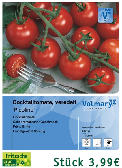 csm_Angebot_Tomate-Picolino_8581effe8a.jpg