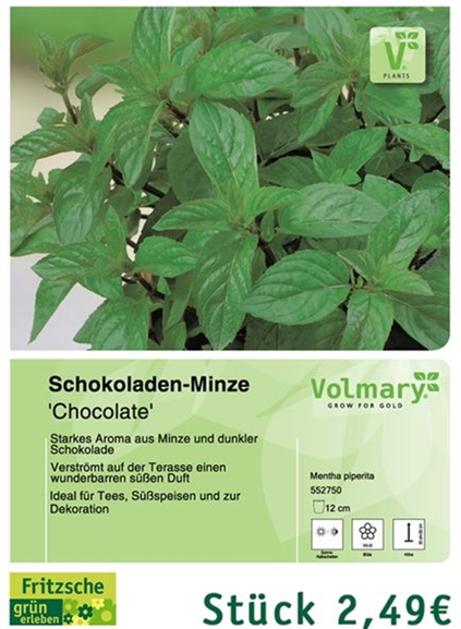 csm_Angebot_Minze-Schokolade_5179561b79.jpg