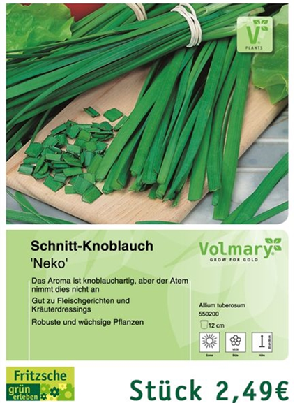 csm_Angebot_Schnittknoblauch_9a3f16a58b.jpg