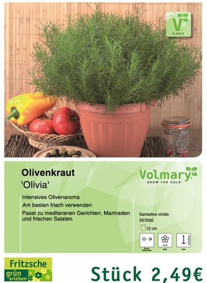 csm_Angebot_Olivenkraut_0f484eb53a.jpg