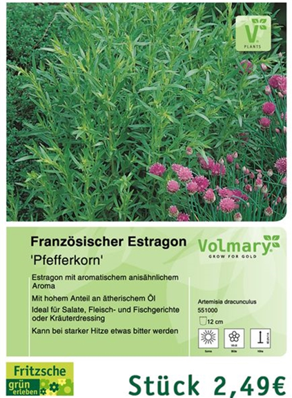 csm_Angebot_Estragon_96d8982b5d.jpg