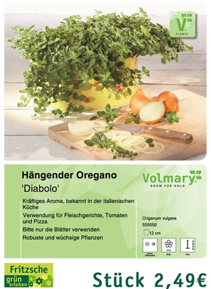 csm_Angebot_Oregano-Diabolo_ef17b71c5a.jpg