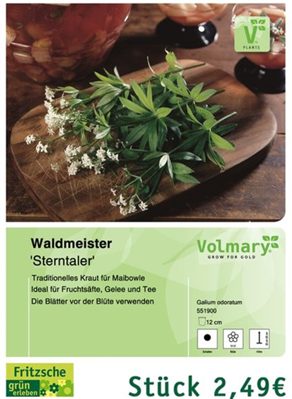 csm_Angebot_Waldmeister_923f6cfbd5.jpg