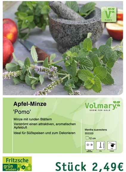 csm_Angebot_Minze-Apfel_0c7634f971.jpg