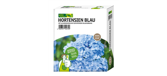 Hortensien Blau