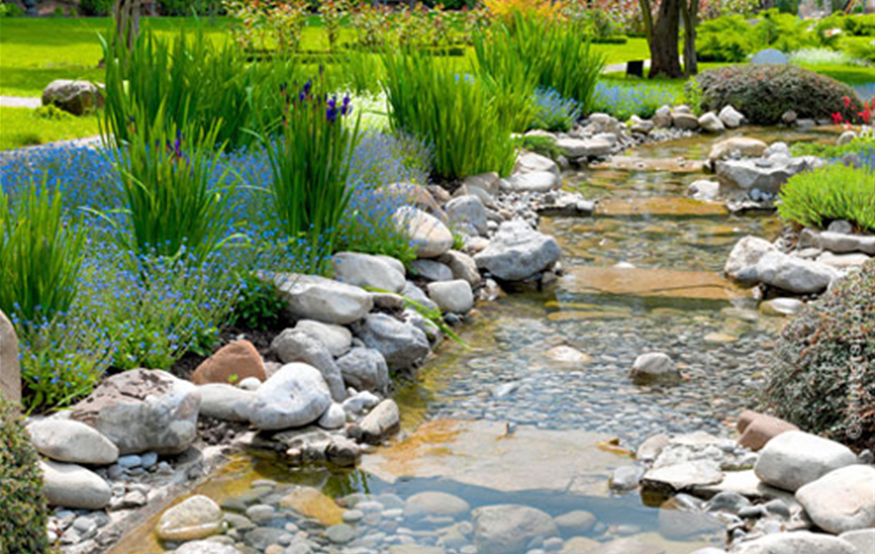 Bild_Gartenberatung_rechts.jpg