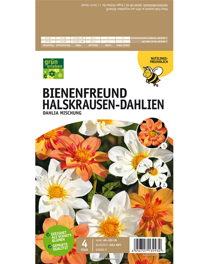 Bienenfreund Halskrausen-Dahlien