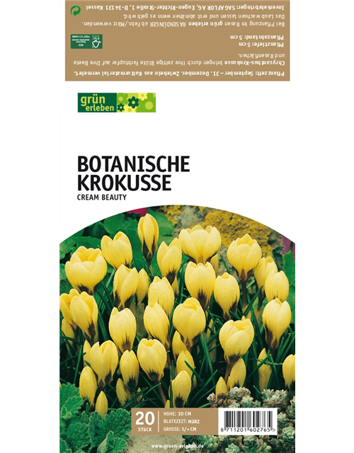 Botanische Krokusse