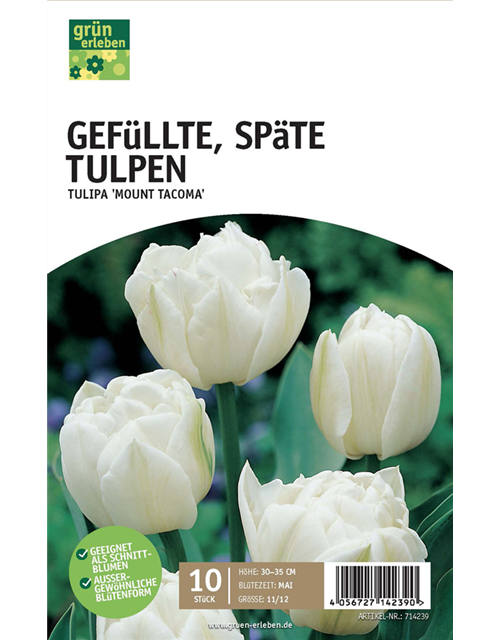 Gefüllte späte Tulpen