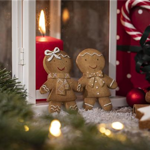 WEIHNACHTLICHE STIMMUNG IM GARTEN